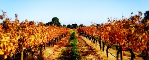 Top 7 Private Tours!