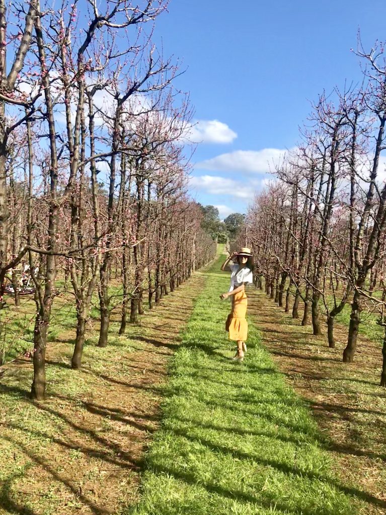 A Few Things That May Surprise You About The Bickley Valley!
