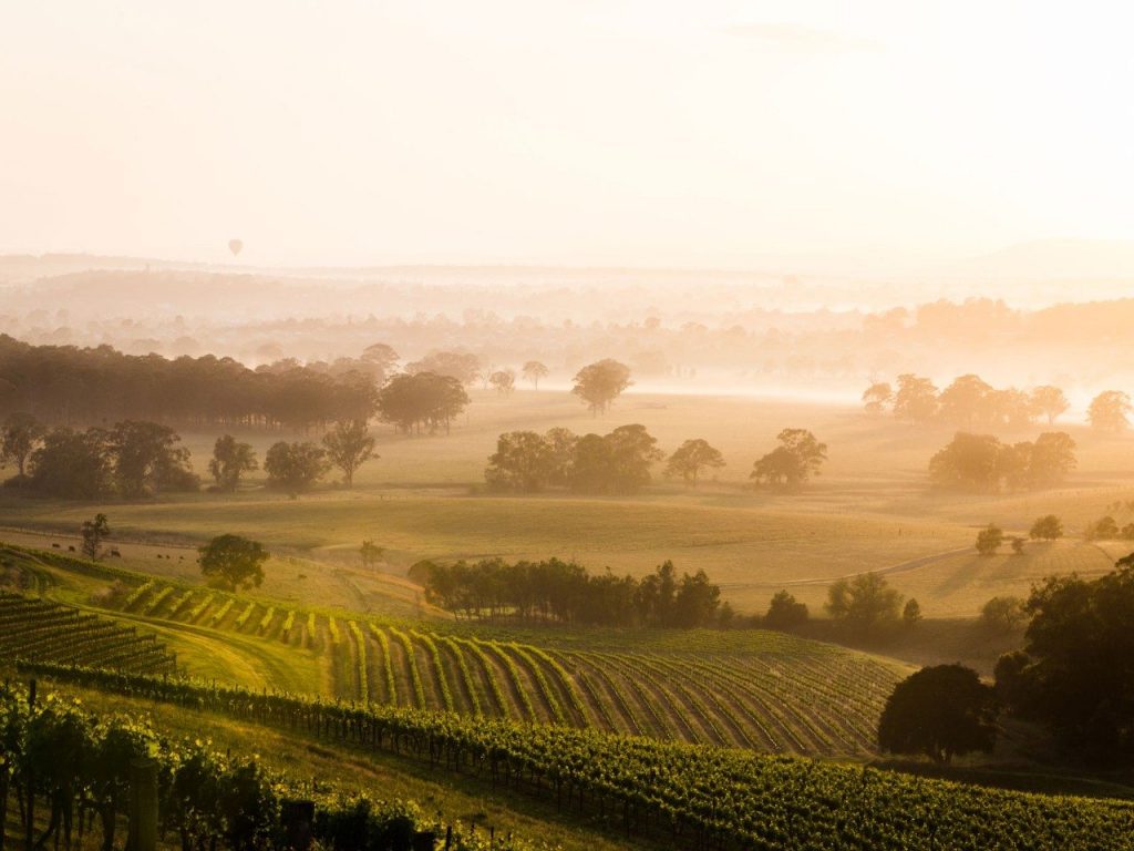 The Hunter Valley
