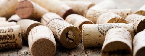 From Vine to Vino